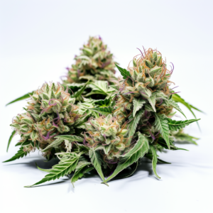 Zombie D.F. Strain Feminized Cannabis Seeds