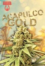 Acapulco Gold Feminized