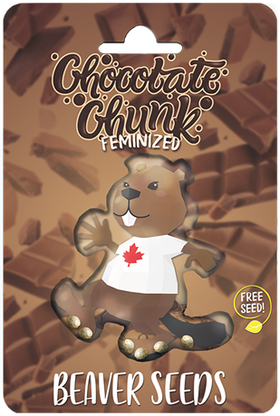beaverseeds chocolatechunk