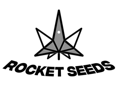 Statement from Rocketseeds