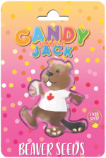 Candy Jack Strain Feminized