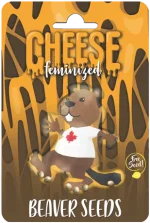 Cheese Strain Feminized