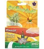 Girl Scout Cookies Strain Feminized