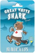 Great White Shark Strain