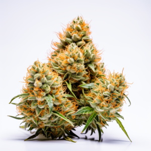 Peanut Butter Souffle Strain Feminized Cannabis Seeds