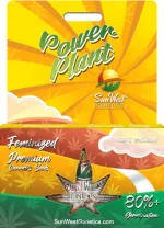 Power Plant Strain