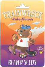 Trainwreck Strain Autoflowering