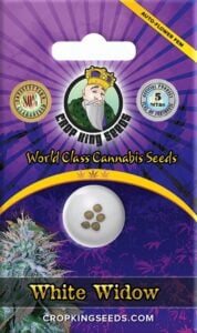 White Widow Autoflower Marijuana Seeds