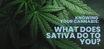what does sativa do to you