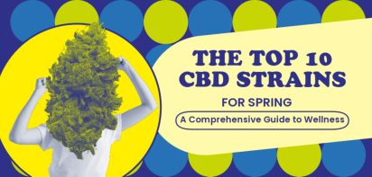 The Top 10 CBD Strains for Spring: A Comprehensive Guide to Wellness