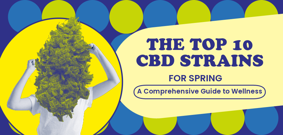 CBD Strains