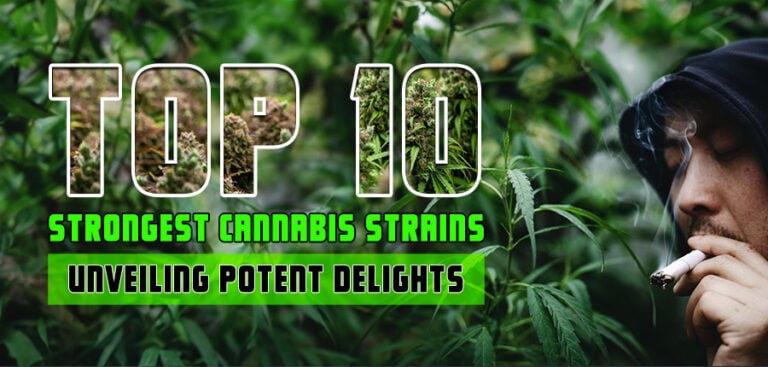 Top 10 Strongest Cannabis Strains: Unveiling Potent Delights - Rocket Seeds