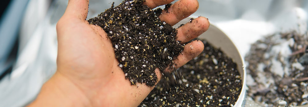 Maintaining Your Soil-Based System