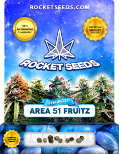 Area 51 Fruitz Strain Feminized Marijuana Seeds