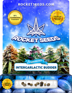 InterGarlactic Budder Strain Feminized Marijuana Seeds