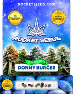Donny Burger Strain Regular Marijuana Seeds