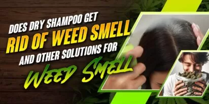 Does Dry Shampoo Get Rid of Weed Smell