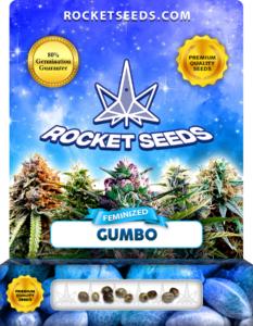 Gumbo Strain Feminized Marijuana Seeds