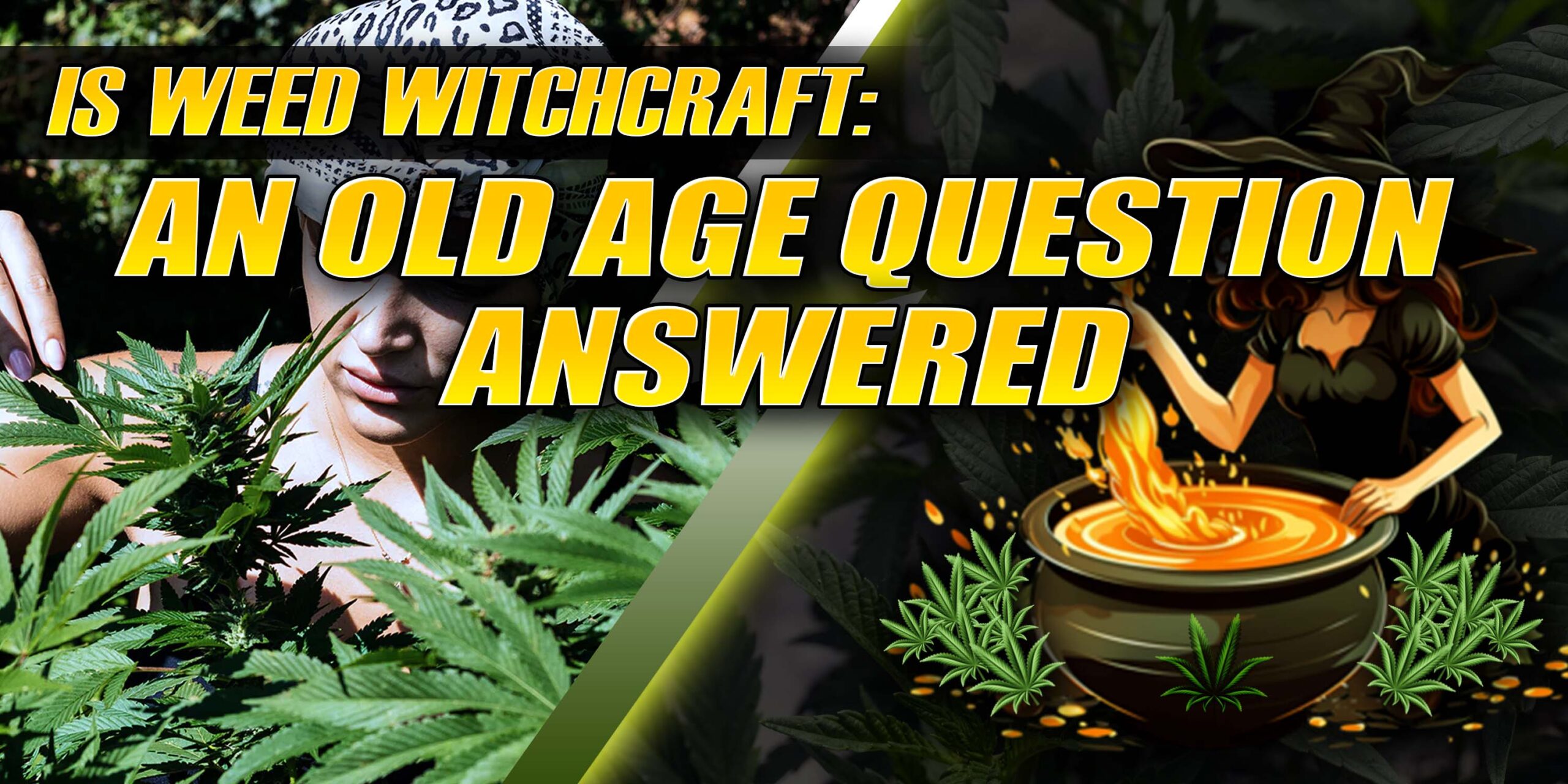 Is Weed Witchcraft: An Old Age Question Answered