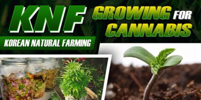 KNF Growing For Cannabis