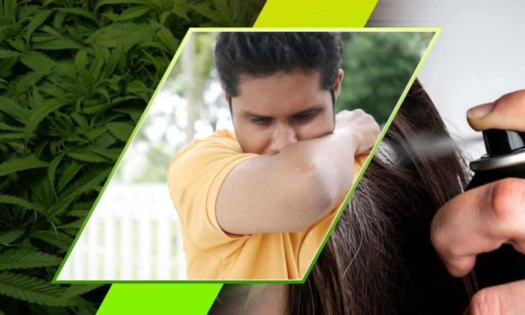 Does Dry Shampoo Get Rid of Weed Smell and Other Solutions For Weed