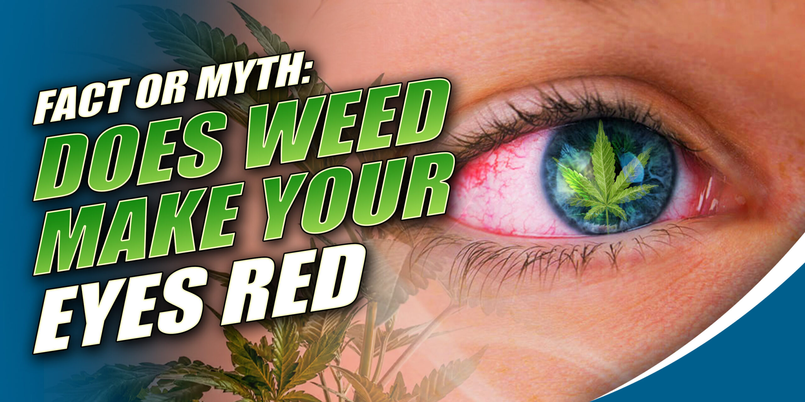 Fact or Myth: Does Weed Make Your Eyes Red