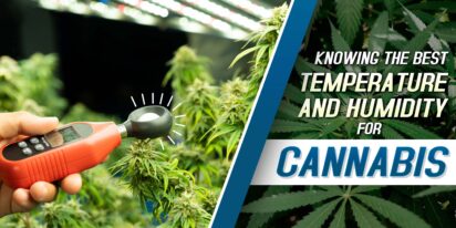 Temperature and Humidity for Cannabis