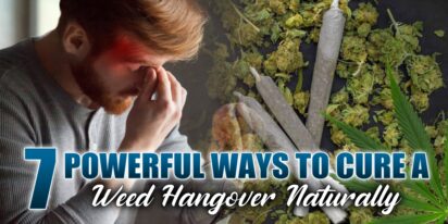 how to cure a weed hangover