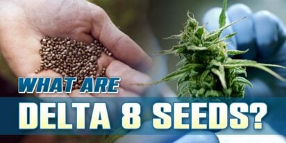 delta 8 seeds