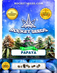 Papaya Strain Regular Marijuana Seeds