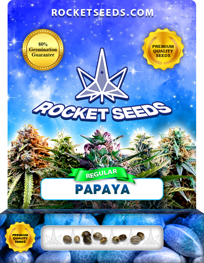 Papaya Strain Regular Marijuana Seeds