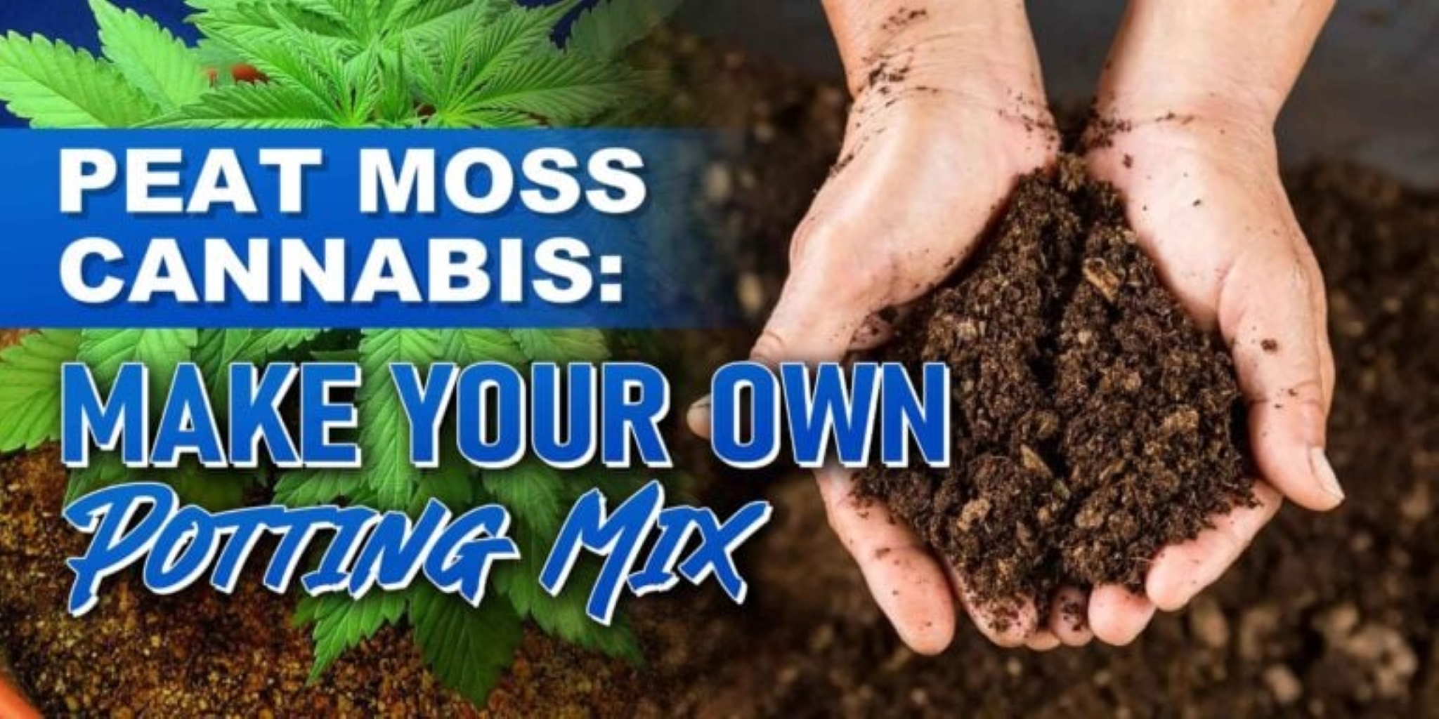 Peat Moss Cannabis: Make Your Own Potting Mix