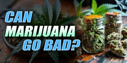 Can Marijuana Go Bad