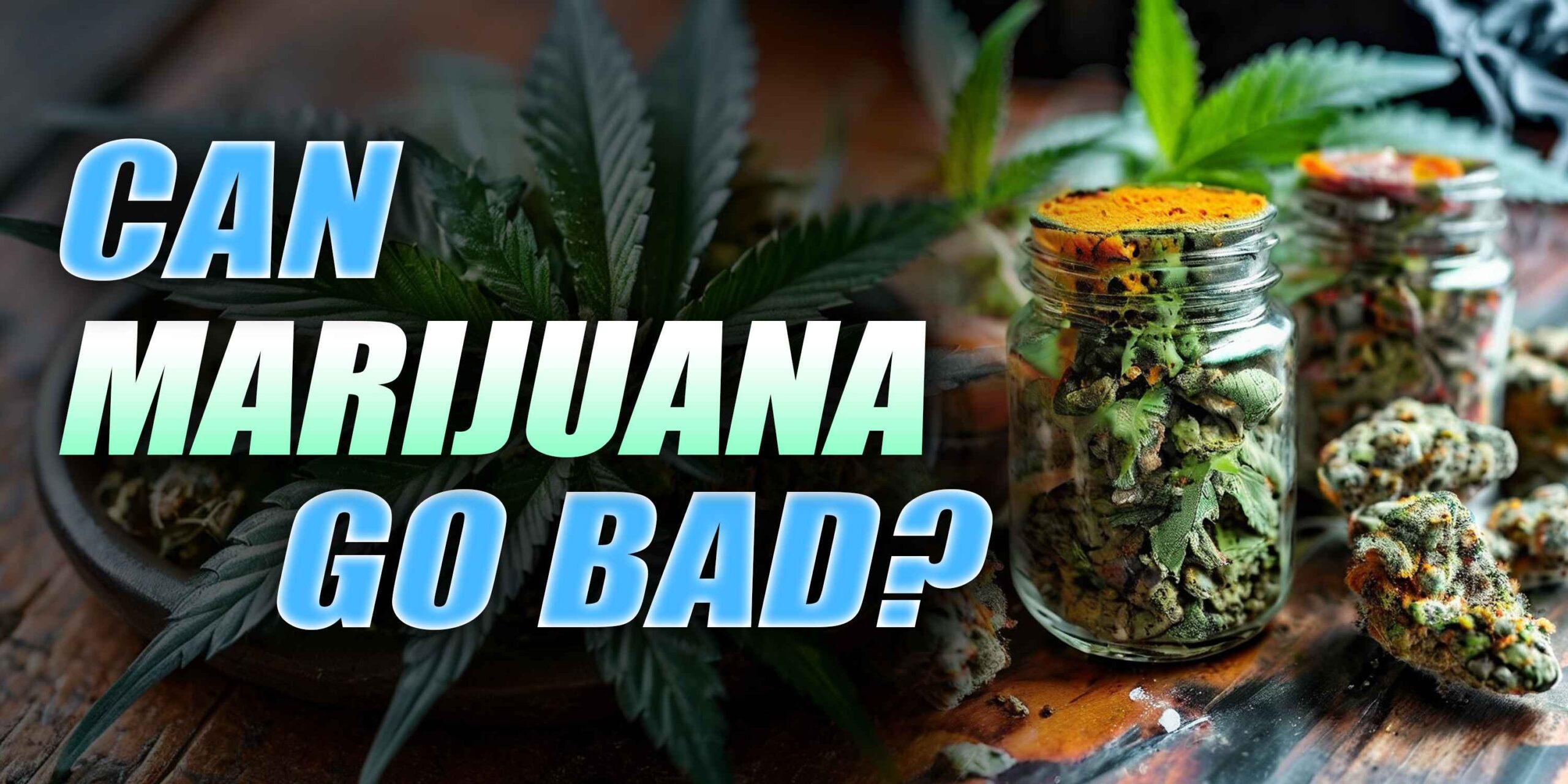 Can Marijuana Go Bad? Rocket Seeds