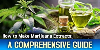 How to Make Marijuana Extracts