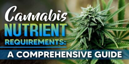 Cannabis Nutrient Requirements