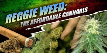 Reggie Weed
