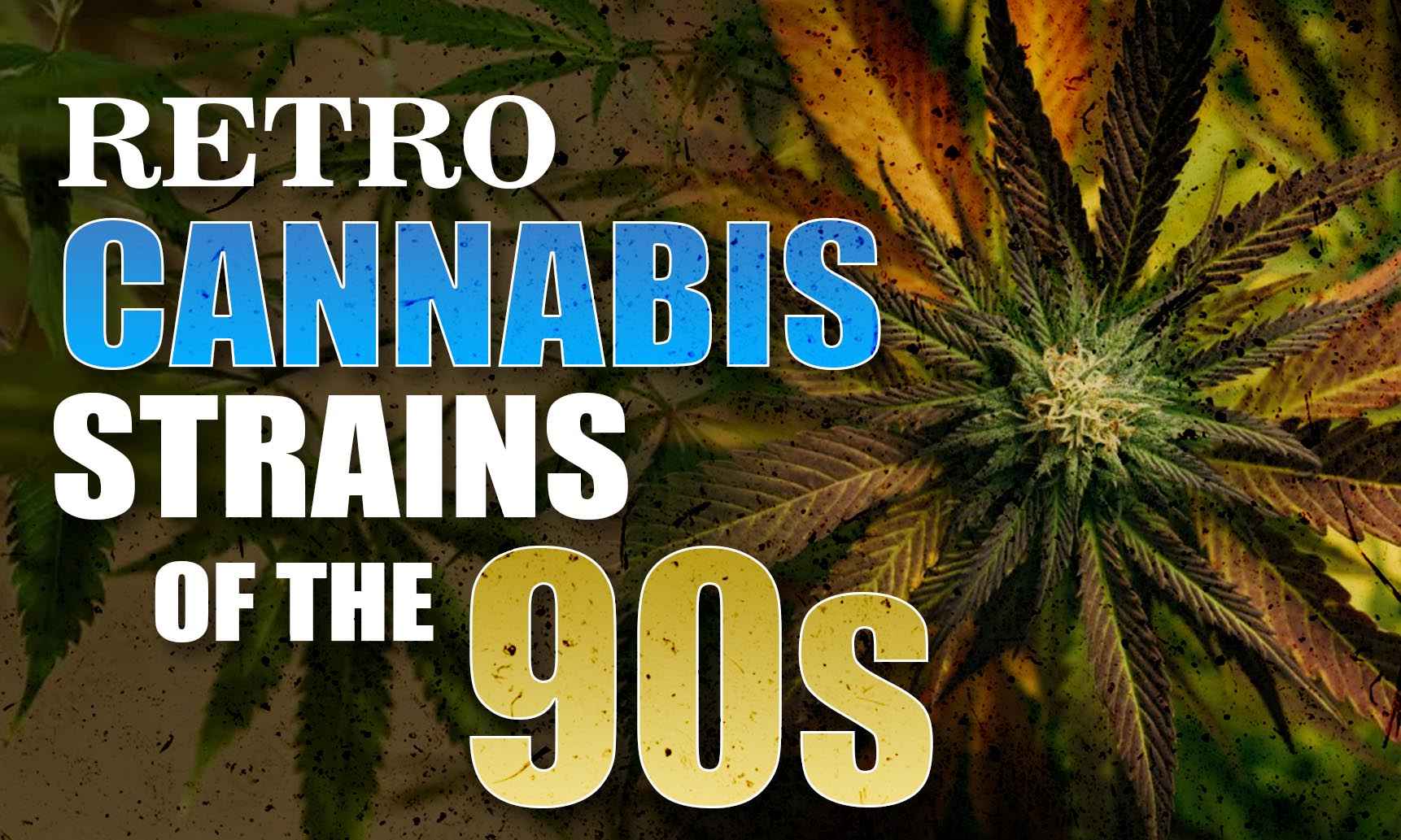 Retro Cannabis Strains Of The 90s