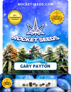 Gary Payton Strain Feminized Marijuana Seeds