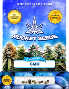 GMO Strain Feminized Marijuana Seeds