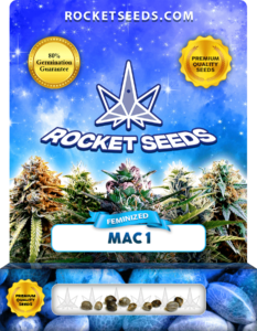 Mac 1 Strain Feminized Marijuana Seeds