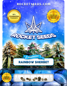 Rainbow Sherbet Strain Feminized Marijuana Seeds