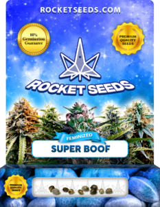 Super Boof Strain Feminized Marijuana Seeds