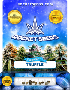 Truffle Strain Feminized Marijuana Seeds