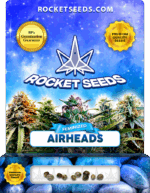 Airheads Strain Feminized Marijuana Seeds