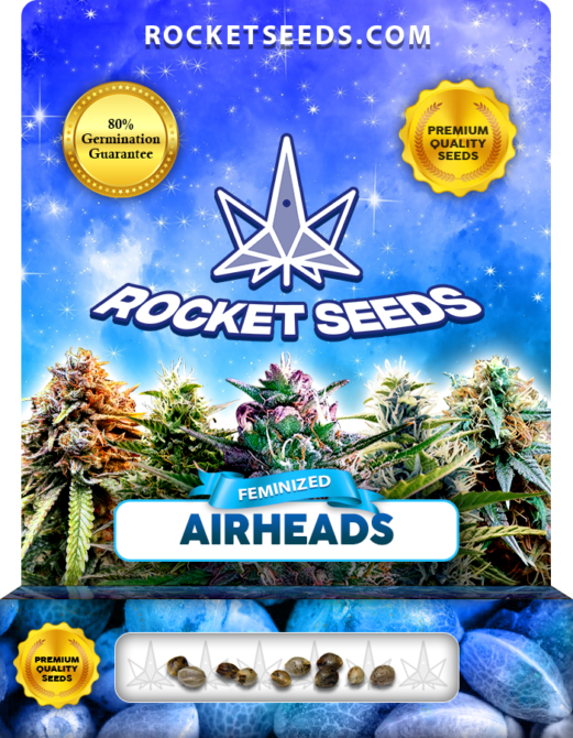 Airheads Strain Feminized