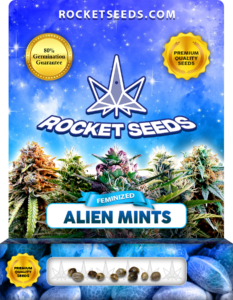 Alien Mints Strain Strain Feminized Marijuana Seeds