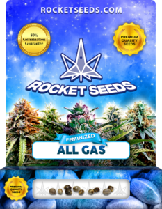 All Gas OG Strain Feminized Marijuana Seeds