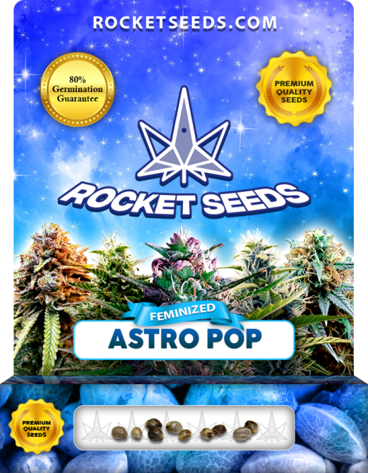 Astro Pop Strain Feminized