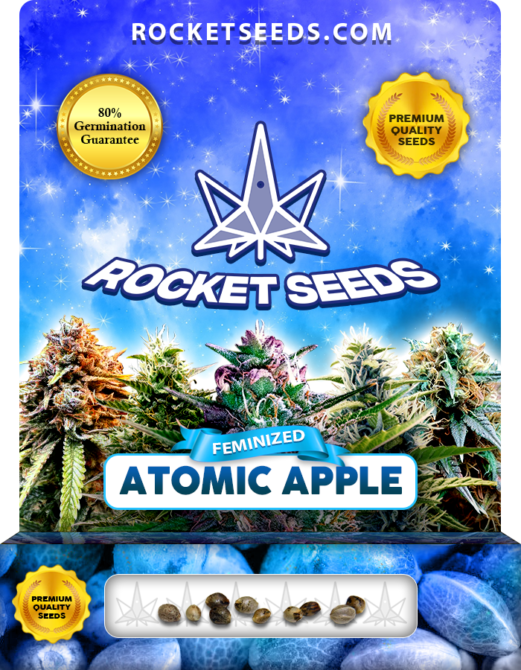 Atomic Apple Strain Feminized